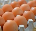 अण्डाको मूल्य घट्यो