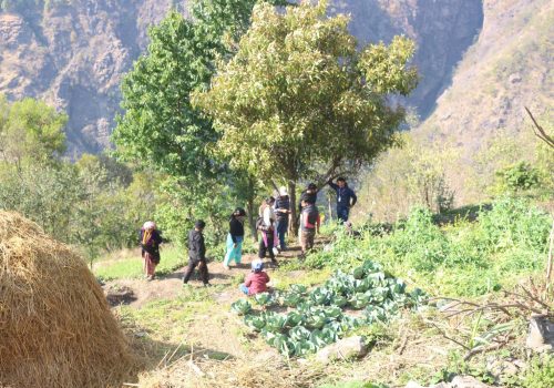 रिलिफ परियोजनाको स्थलगत अनुगमन