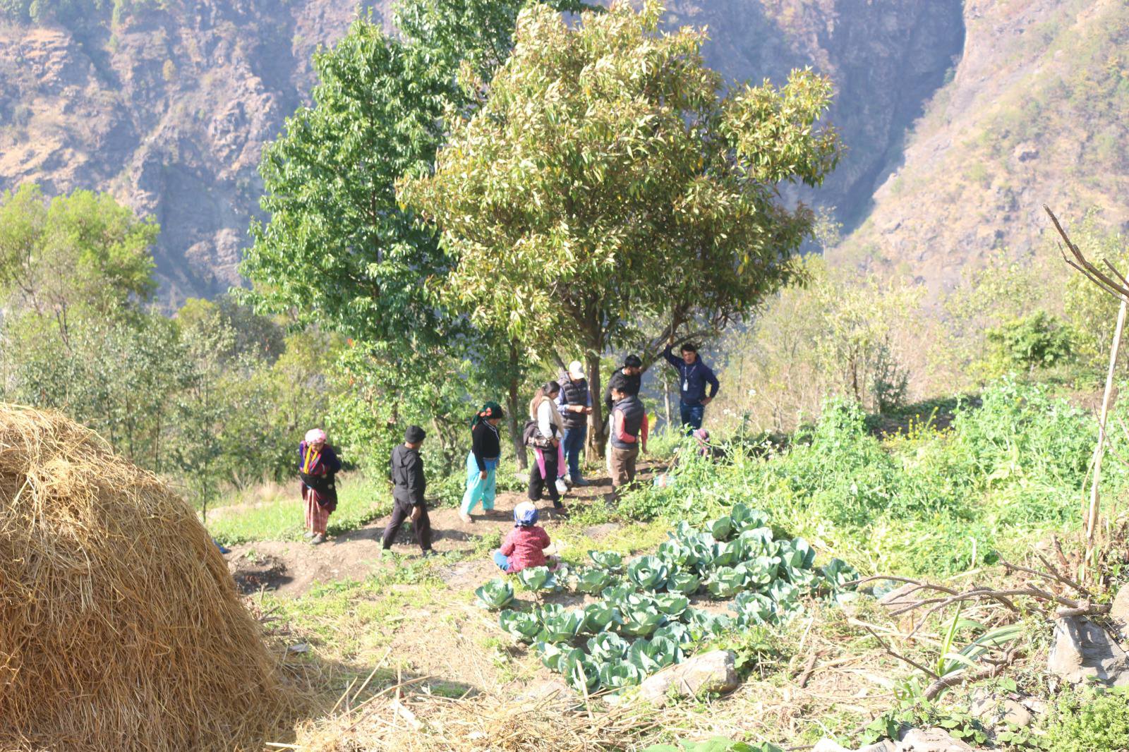 रिलिफ परियोजनाको स्थलगत अनुगमन