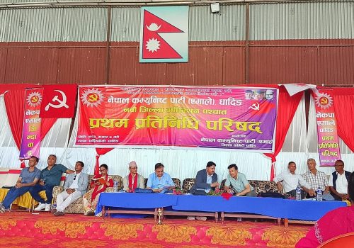 राष्ट्रवादी अडानलाई कमजोर बनाउन विभिन्न कोणहरुबाट हमला भईरहेको पोखरेलको भनाई