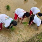 विद्यार्थीलाई धान रोप्न सिकाईँदै