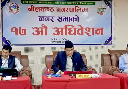 नीलकण्ठको नीति तथा कार्यक्रम सार्वजनिक