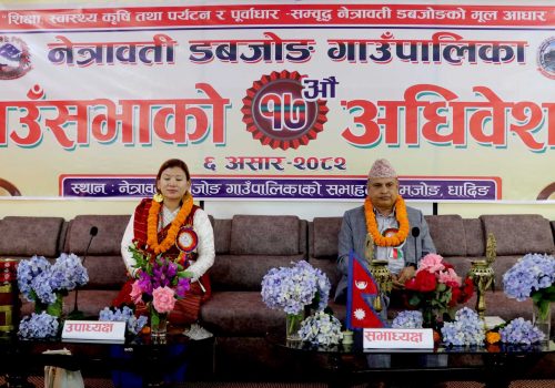नेत्रावती डबजोङको बजेट ४६ करोड २७ लाख