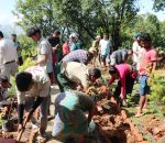 हिरक पार्कमा वृक्षारोपण