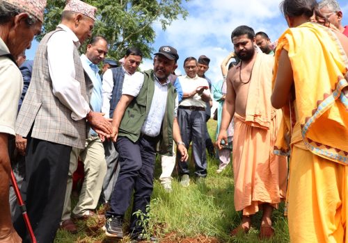 ग्रह बाटिका, राशि र औषधीजन्य विरुवा वृक्षारोपण
