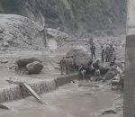 रसुवा बाढीमा परी ११ जनाको मृत्यु, १९ जना बेपत्ता