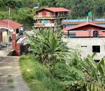 पालिकाभित्रका विद्यालय समायोजन