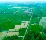 देशभर ९१ प्रतिशत धान रोपाइँ सकियो