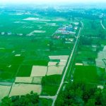 देशभर ९१ प्रतिशत धान रोपाइँ सकियो