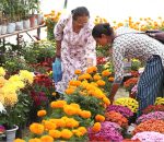 विदेशबाट आयात गरिएको फूलमाला बिक्रीमा रोक
