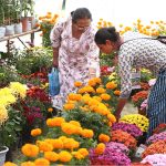 विदेशबाट आयात गरिएको फूलमाला बिक्रीमा रोक