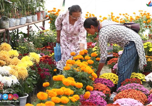विदेशबाट आयात गरिएको फूलमाला बिक्रीमा रोक
