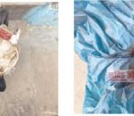 Crystal Quartz सहित एक जना पक्राउ