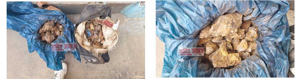 Crystal Quartz सहित एक जना पक्राउ