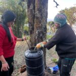 गृहिणीबाट समाज परिर्वतन संवाहक बन्दै अपेक्षा तामाङ
