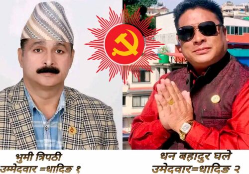 एमालेले टुङ्ग्यायो उम्मेदवार